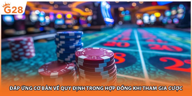 Đáp ứng cơ bản về quy định trong hợp đồng khi tham gia cược