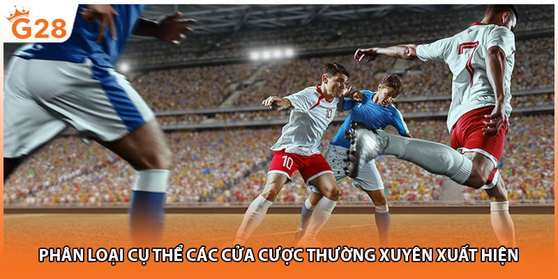 Phân loại cụ thể các cửa cược thường xuyên xuất hiện